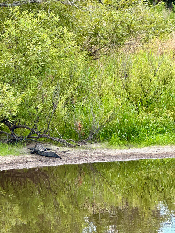 Myakka River State Park