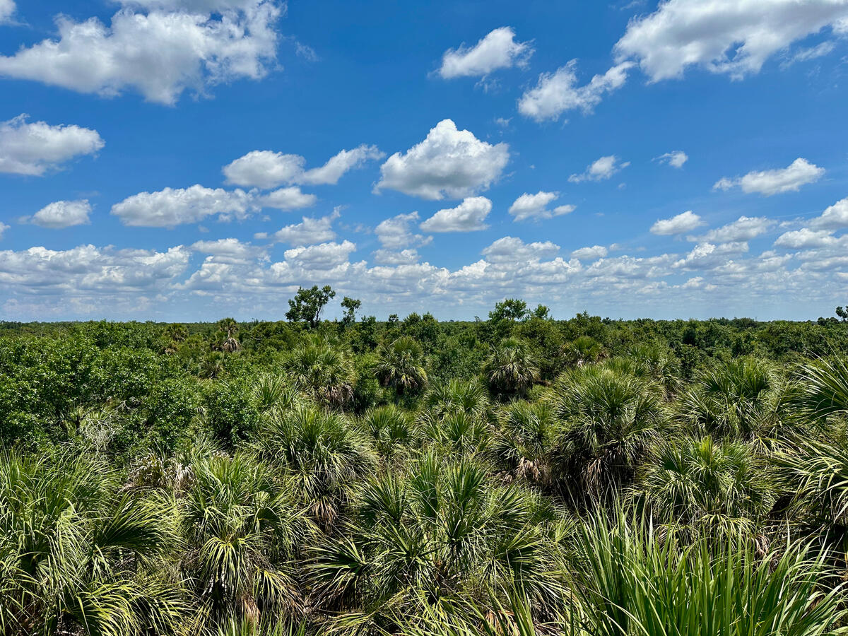 Myakka River State Park