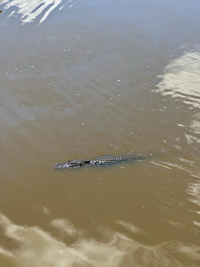 Myakka River State Park