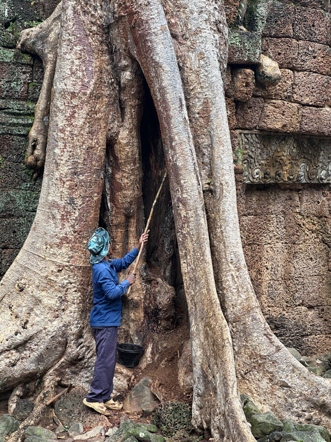 Siem Reap